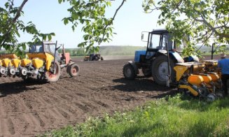 Fermierii clujeni își fac fabrică de nutrețuri combinate