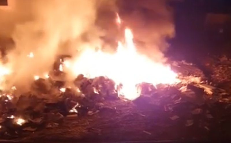 Incendiu pe strada Luceafărului din Cluj