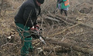 Campanie de curățenie, pe străzile din Câmpia Turzii. Activitățile vor continua