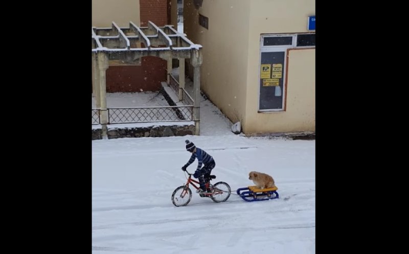 Activități de iarnă la Cluj! :)