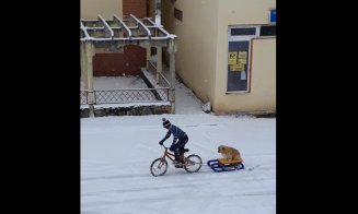 Activități de iarnă la Cluj! :)
