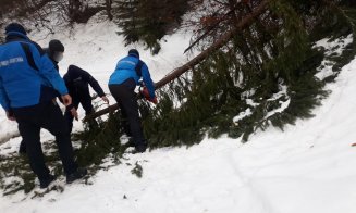 Vacanță cu peripeții pentru doi turiști din Cluj. Drumul spre casă le-a fost blocat de câțiva brazi smulși de furtună