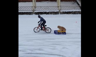 Băiețelul din Cluj care își plimba câinele cu sania a primit o nouă bicicletă