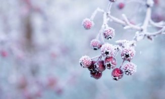 Gata cu temperaturile de primăvară, se întoarce gerul! Prognoza pe două săptămâni