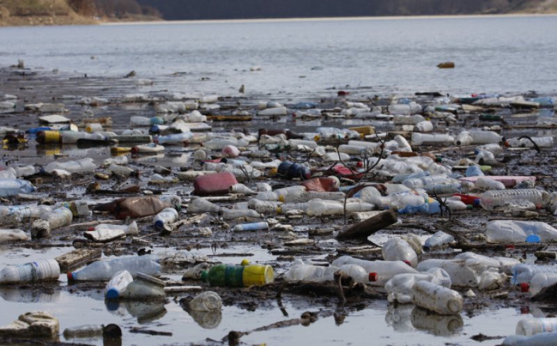 Ungaria acuză România că îi poluează râurile. Mii de sticle de plastic, papuci, deşeuri menajere, televizoare trec graniţa pe râuri în jos