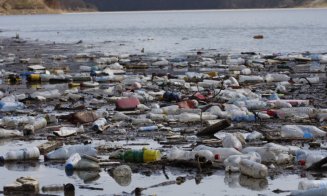 Ungaria acuză România că îi poluează râurile. Mii de sticle de plastic, papuci, deşeuri menajere, televizoare trec graniţa pe râuri în jos