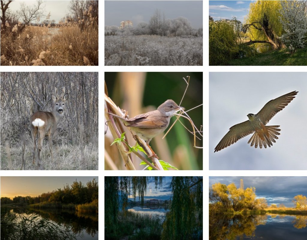 Se cere deschiderea celui mai mare parc al Clujului din această primăvară. Are 45 de hectare