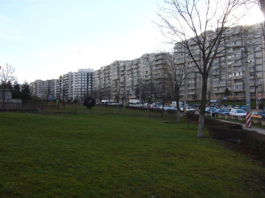 Noi DEZBATERI PUBLICE la Cluj-Napoca: economie, mobilitate, Piața Karl Liebknecht sau reamenajarea Parcului Primăverii
