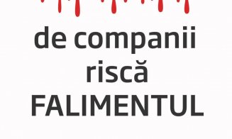 Patronii de restaurante vor protesta în fața localurilor. „Noi respectăm regulile, ei nu”