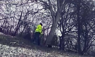 Câine ucis cu cruzime în Cluj. Poliția are un suspect