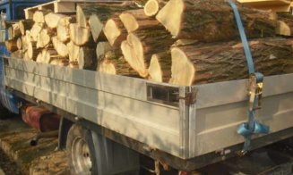 Tupeu à la Cluj: și fără permis, și cu mașina plină cu lemne furate