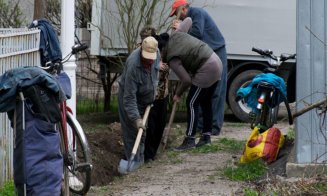 Propunere a patronilor din Cluj: asistații social să fie angajați