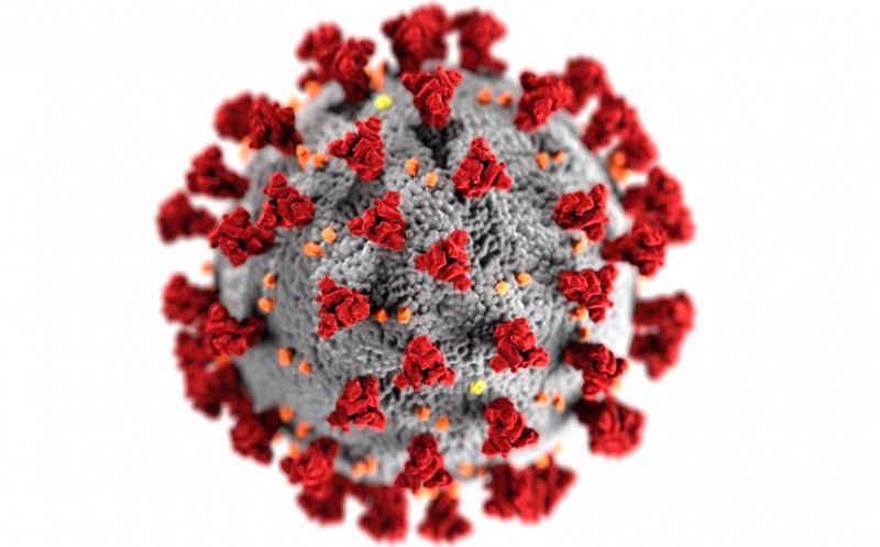 Un nou virus ucigaș amenință omenirea. Ce simptome are, de fapt. Autoritățile sunt în alertă