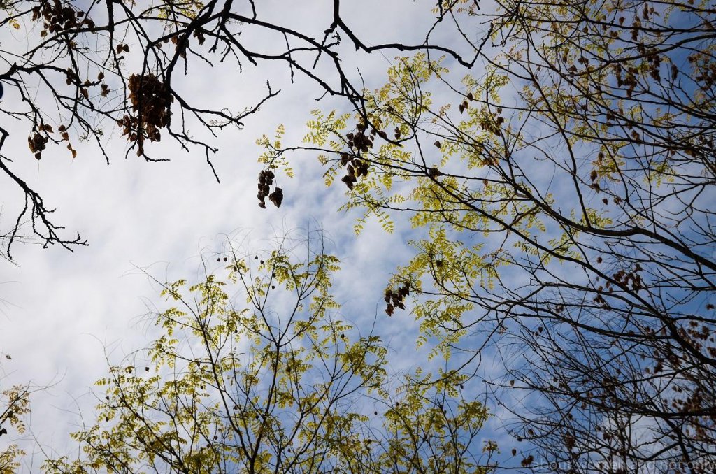 METEO: Final de februarie cu temperaturi de primăvară. Ce ne așteaptă în martie