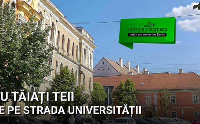 PETIŢIE! Nu tăiați teii de pe strada Universității!