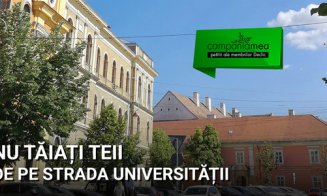PETIŢIE! Nu tăiați teii de pe strada Universității!