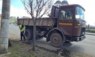 Curățenie generală pe străzile din Turda, odată cu venirea primăverii