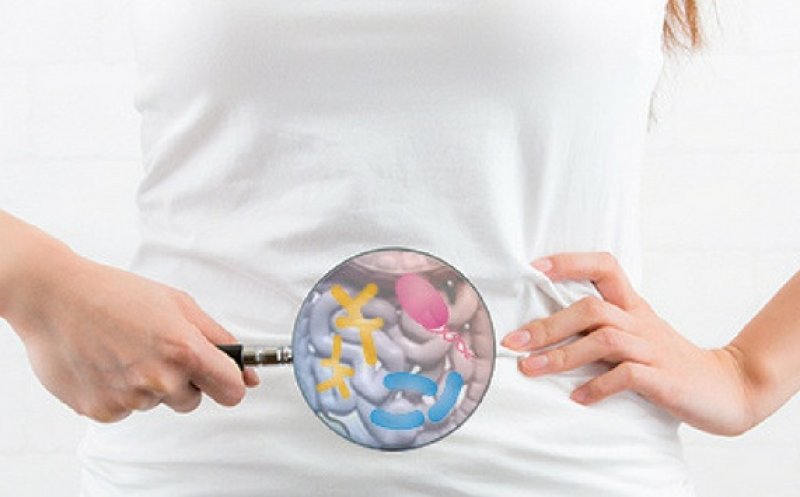 Peste 140.000 de specii de virusuri din intestinul uman despre care medicina nu ştie aproape nimic