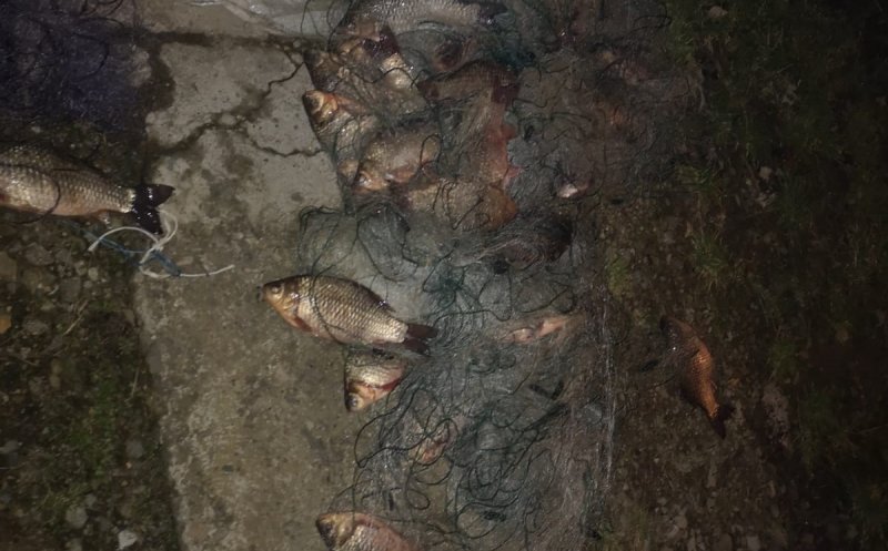 Ce se mai fură la Cluj? Doi "pescari", prinși în toiul nopții cu mașina plină de pește
