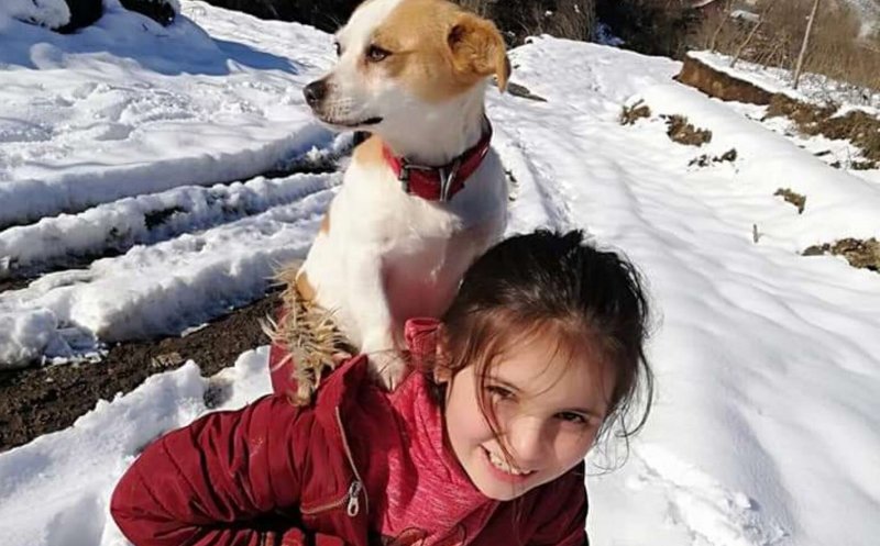 Gesturi care schimbă lumea: Şi-a cărat căţeluşul în spate doi kilometri, prin zăpadă, pentru a ajunge cu el la veterinar
