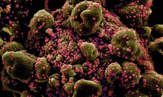 Tulpina braziliană de COVID-19 poate reinfecta peste 60% dintre cei care au trecut prin boală