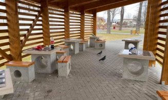 Mizerie pe acorduri de manele, într-un parc din Florești