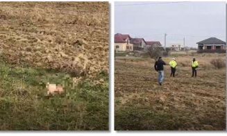 Un bebeluș a fost găsit mort pe un câmp. Mama este căutată de polițiști și acuzată de pruncucidere