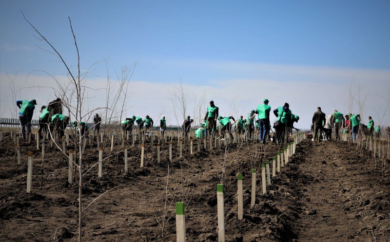 Clujul va fi înverzit pe 219 hectare în această primăvară