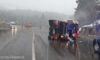 Zeci de porci au murit striviți, după ce TIR-ul care îi transporta s-a RĂSTURNAT! Care este starea șoferului