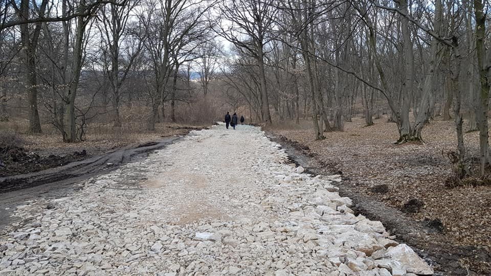 Se asfaltează și pădurea Hoia?