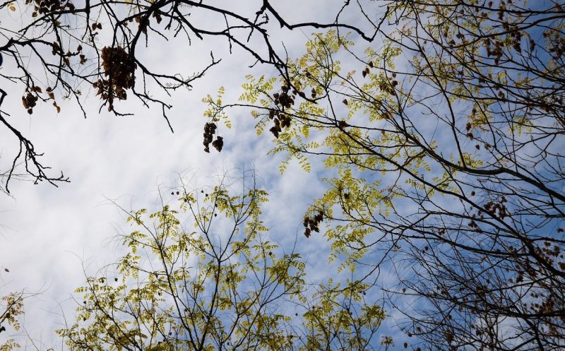 Vremea până la începutul lunii aprilie. Când scăpăm de iarnă?