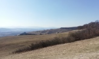 Epopeea drumului pietruit din Hoia-Baciu. Fost deputat de Cluj: "Cer prefectului să suspende autorizația pentru investitorul imobiliar"
