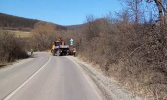 Lucrări de toaletare a copacilor de-a lungul drumurilor județene din Cluj