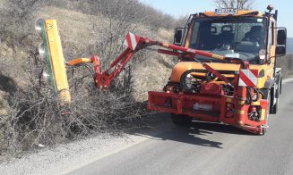 Lucrări de toaletare a copacilor de-a lungul drumurilor județene din Cluj