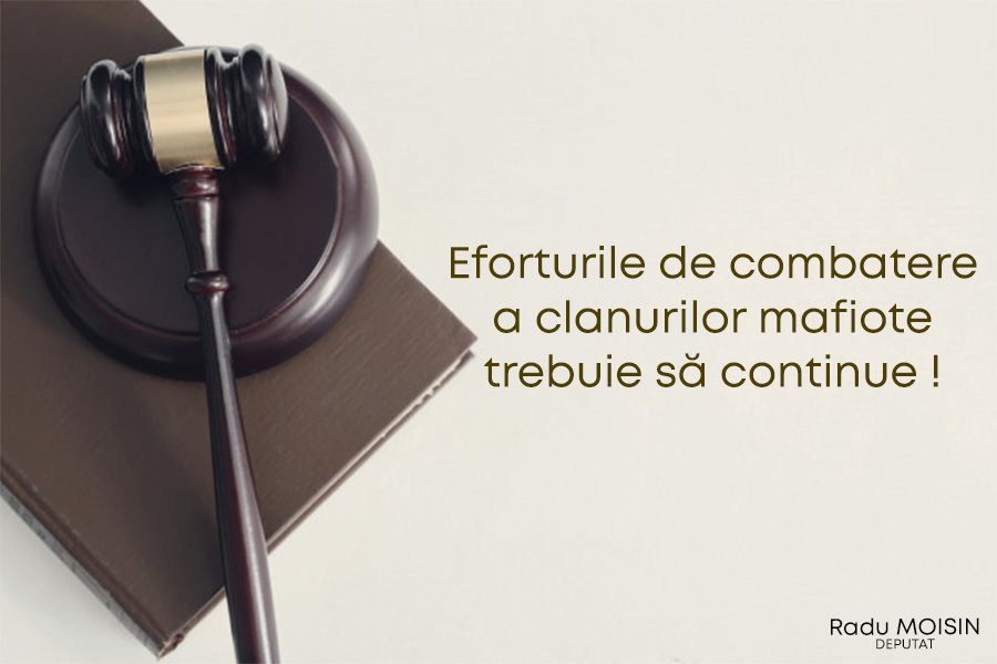 Deputatul clujean Radu Moisin, eforturi în combaterea organizațiilor mafiote