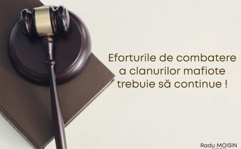 Deputatul clujean Radu Moisin, eforturi în combaterea organizațiilor mafiote