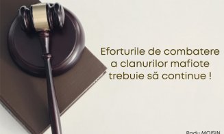 Deputatul clujean Radu Moisin, eforturi în combaterea organizațiilor mafiote