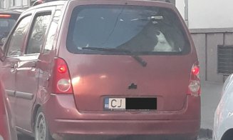 Cu vițeii, în maşină, la plimbare prin Cluj Napoca