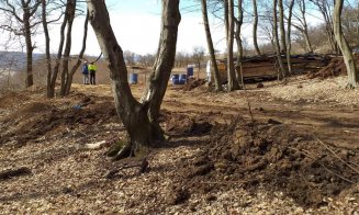 Lucrări fără autorizație de construcție în Florești. Pivariu: „Astfel de fapte nu vor mai fi tolerate!”