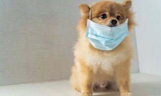 Este gata primul vaccin anti-COVID pentru animale