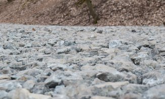 "Distrugerea Pădurii Hoia prin pietruire a început"