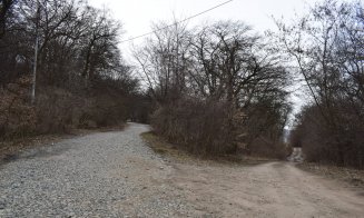 "Distrugerea Pădurii Hoia prin pietruire a început"