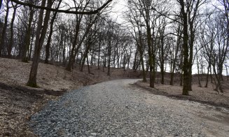 "Distrugerea Pădurii Hoia prin pietruire a început"