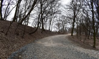 "Distrugerea Pădurii Hoia prin pietruire a început"