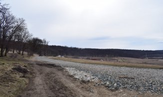 "Distrugerea Pădurii Hoia prin pietruire a început"