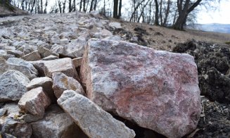 "Distrugerea Pădurii Hoia prin pietruire a început"