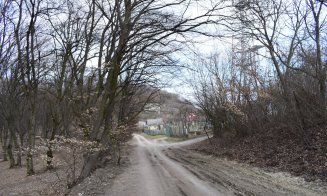 "Distrugerea Pădurii Hoia prin pietruire a început"