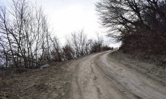"Distrugerea Pădurii Hoia prin pietruire a început"