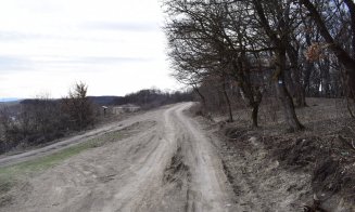 "Distrugerea Pădurii Hoia prin pietruire a început"