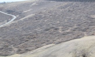 "Distrugerea Pădurii Hoia prin pietruire a început"